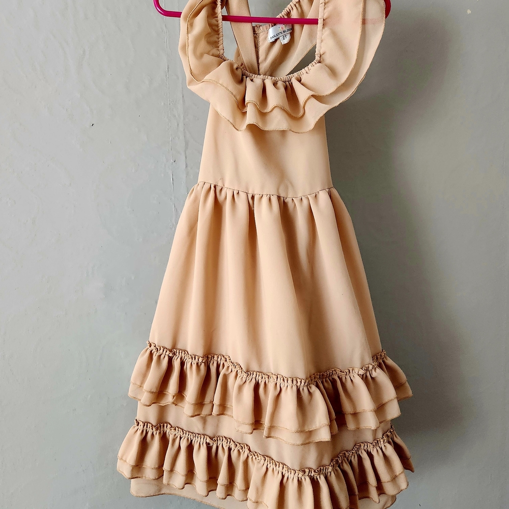 Bailey's Blossoms 2T Ruffle Dress